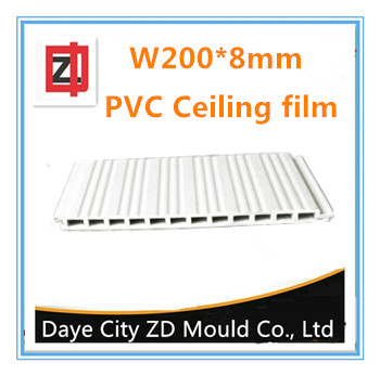 PVC ceing film mould